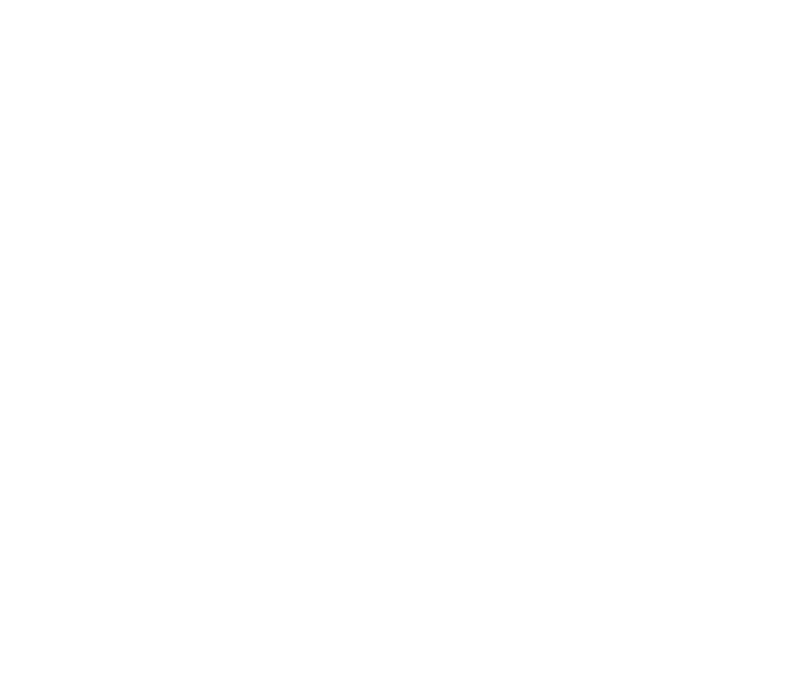 Sicurezza_icon