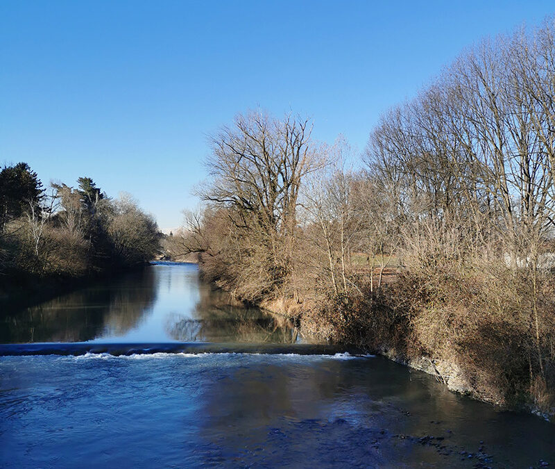 Progettazione e riqualificazione del patrimonio arboreo dei parchi fluviali del Comune di Torino