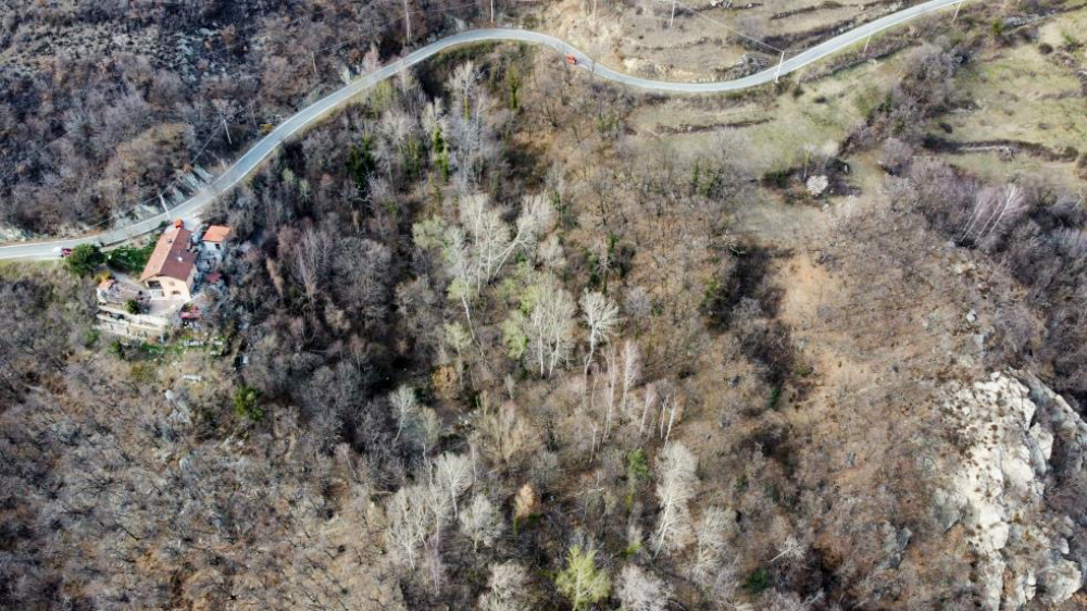 Progetto PRe FEu PRevenzione degli incendi per le Filiere del Legno